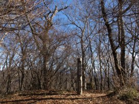 大棚ノ頭山頂