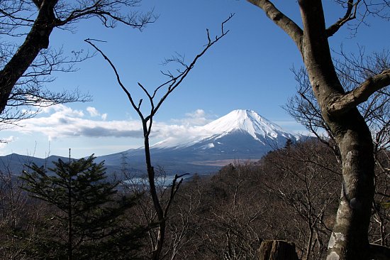 水ノ木分岐から富士