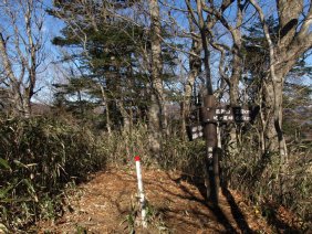 西沢の頭の山頂