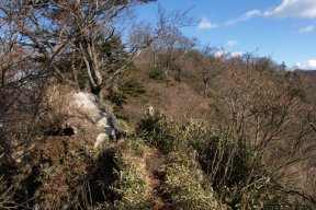 鞍部の展望地