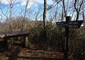 樅ノ木沢の頭山頂