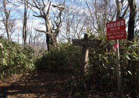 ブナノ丸山頂