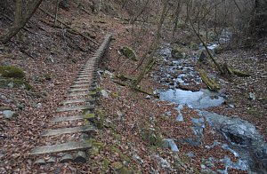 沢の水