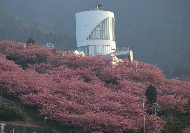 西平畑公園