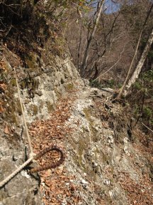 石灰岩の道