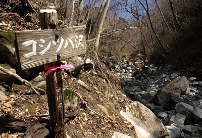 コシツバ沢