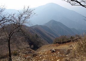 風巻ノ頭と大室山