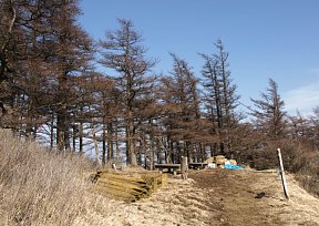 袖平山山頂部