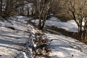 雪路