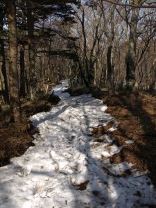 雪の窪道