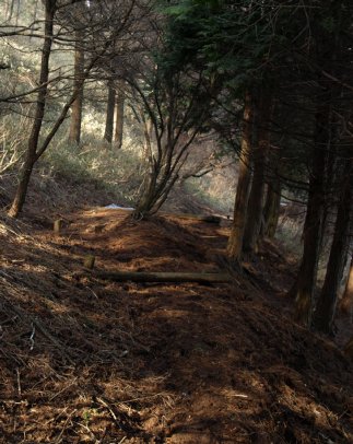 斜陽の下山道