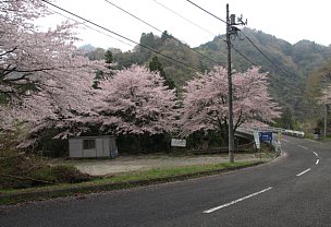 橋