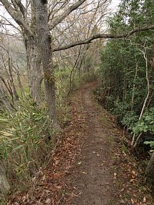 石砂山登山道