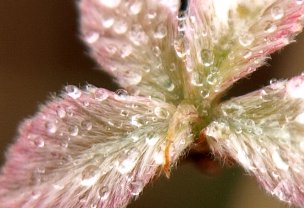 水滴