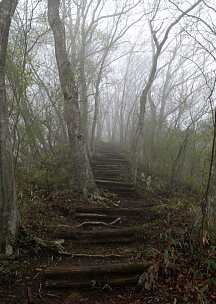 丸木階段