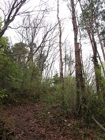 石砂山登山道