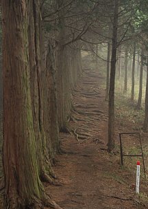 几帳面