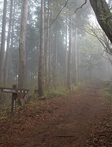 大明神展望台分岐