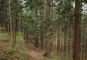 石老山下山道