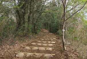 嵐山下山道