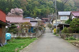 城山山麓