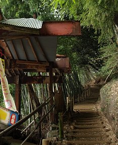 城山登山道