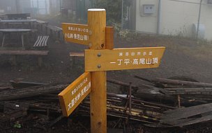 自然歩道合流点