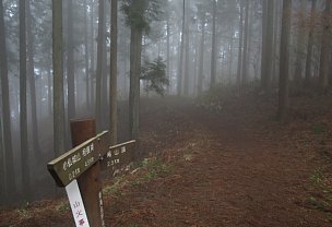 明治の森高尾国定公園