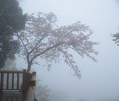 関東平野はガスの中