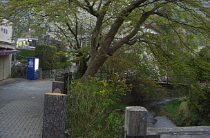 紅葉橋