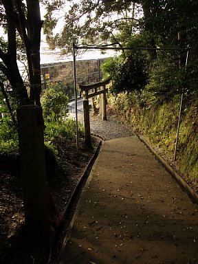 近津尾神社参道