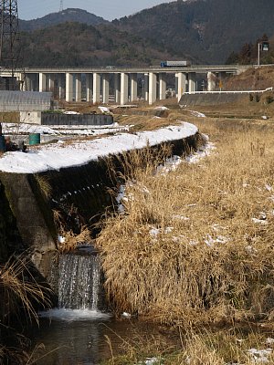 千丈川緑地