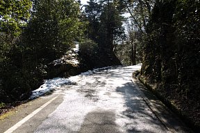 谷山林道