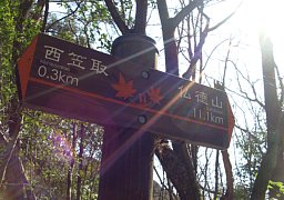 谷山林道の道標