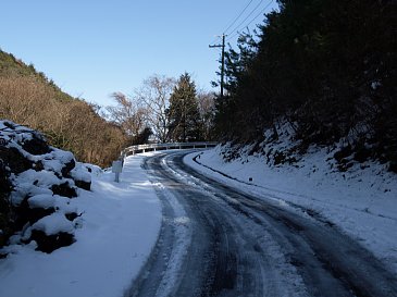 雪の林道