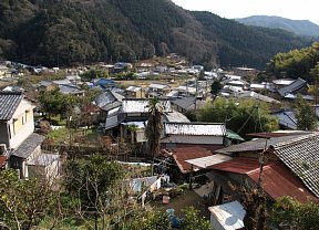 東組