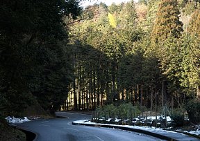 三室戸寺へ