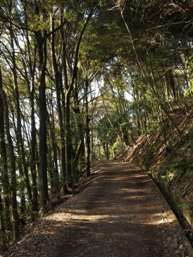 仏徳山南斜面