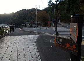 宇治川左岸の車道