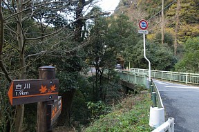 志津川分岐