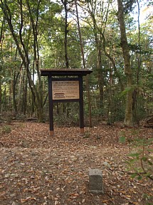 仏徳山山頂