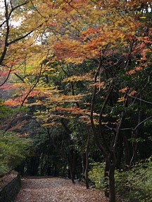 仏徳山遊歩道