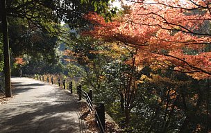 宇治川右岸道