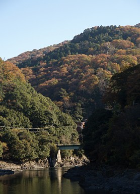 吊橋から上流