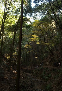 紅葉谷