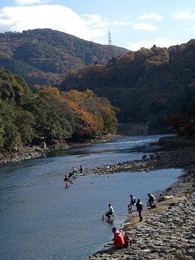 宇治川の釣り人