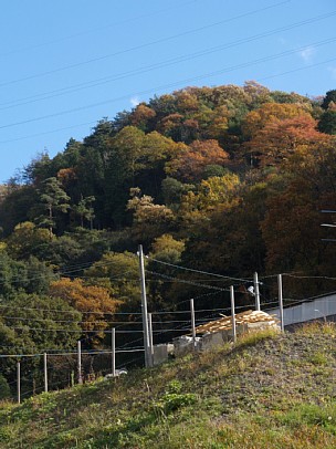 里山の紅葉