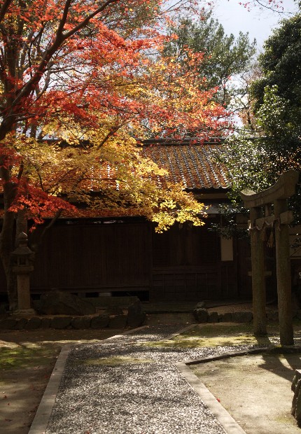 齋田神社の紅葉