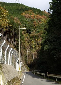 山間の道