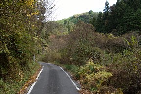 地福谷の道